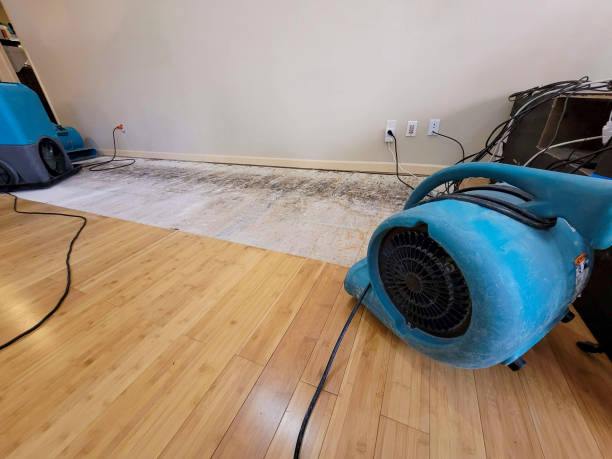 Professional Water Damage Repair technician working in Chesnee, SC